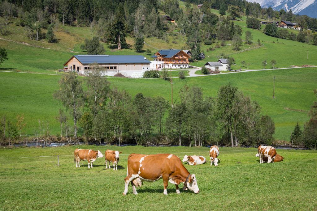 Rojerhof Villa Schladming Exterior foto