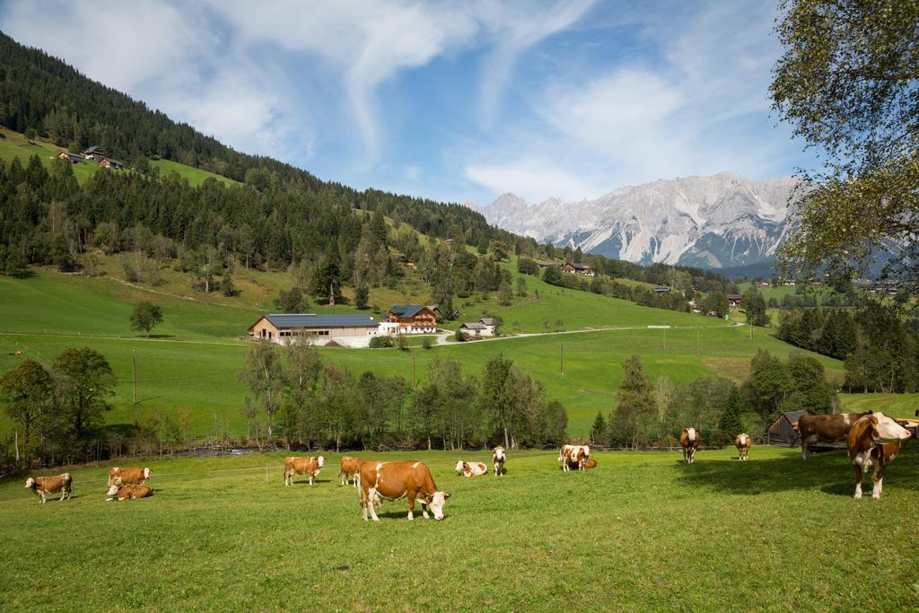 Rojerhof Villa Schladming Exterior foto